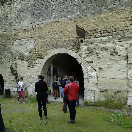 Chateau De Bed and Breakfast Ternay (Vienne)