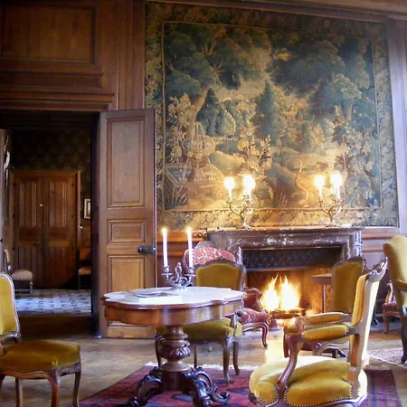 Chateau De Bed and Breakfast Ternay (Vienne)