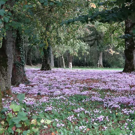 Demeure Chateau De 4*