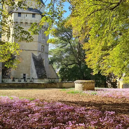 Chateau De 4* Ternay (Vienne)