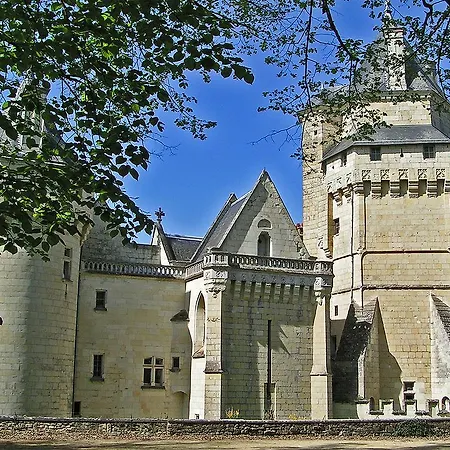 Bed & Breakfast Chateau De Ternay 3*