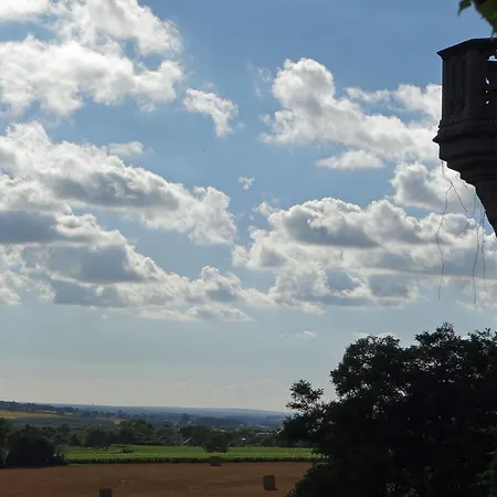 Chateau De Ternay Bed & Breakfast Ternay (Vienne)