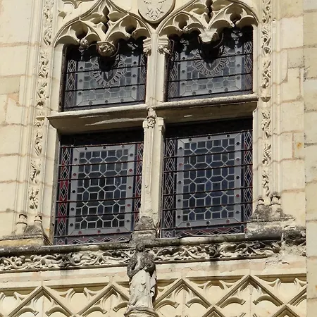 Chateau De Ternay Bed & Breakfast Ternay (Vienne)