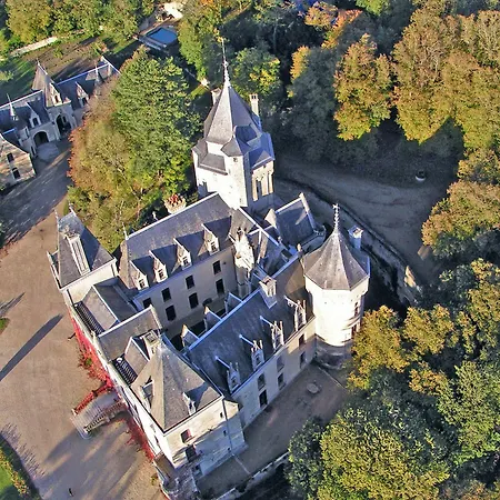 Chateau De Ternay Bed & Breakfast Ternay (Vienne)