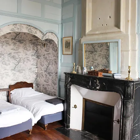 Chateau De Ternay Bed & Breakfast Ternay (Vienne)