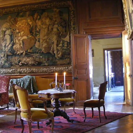 Bed & Breakfast Chateau De Ternay