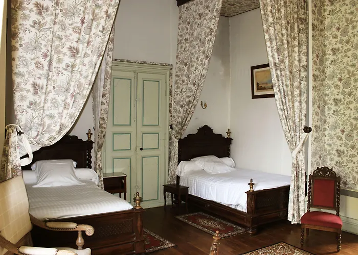 Bed & Breakfast Demeure Chateau De Ternay (Vienne)