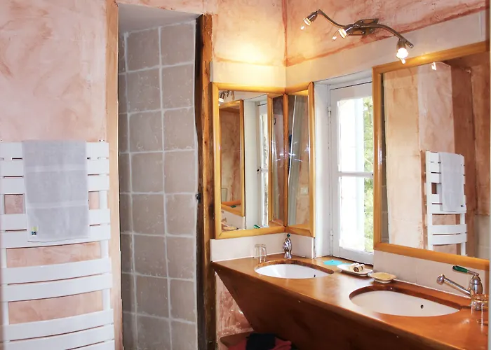 Demeure Chateau De 4* Ternay (Vienne)