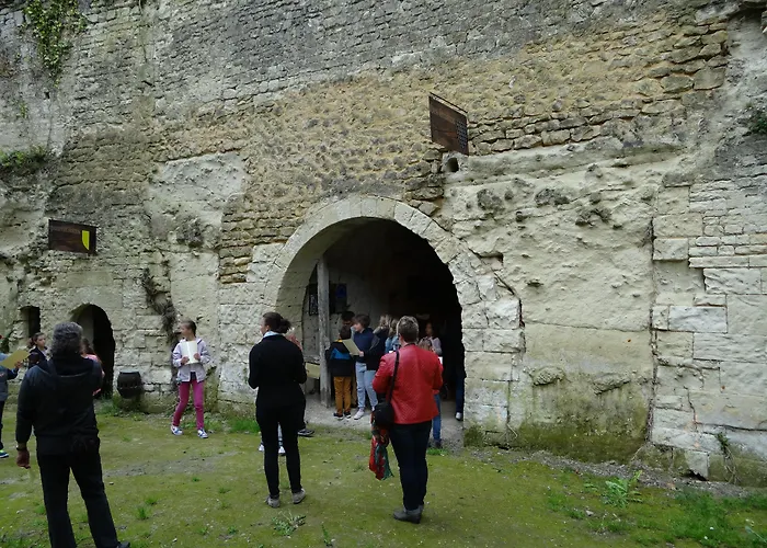 Demeure Chateau De Bed & Breakfast Ternay (Vienne)