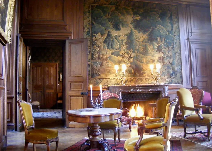 Demeure Chateau De Bed & Breakfast Ternay (Vienne)