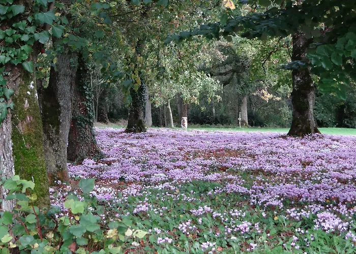 Demeure Chateau De 4*