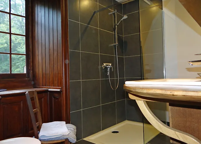 Demeure Chateau De 3* Ternay (Vienne)