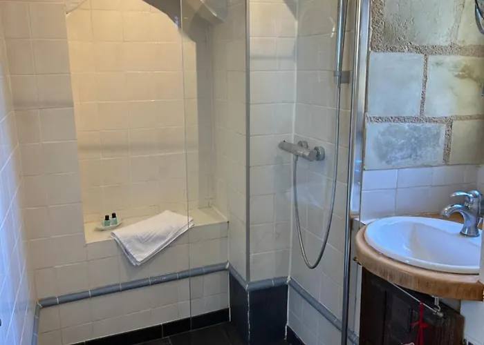 Bed & Breakfast Demeure Chateau De Ternay (Vienne)