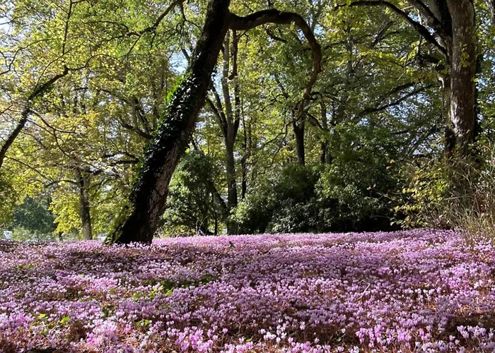 Demeure Chateau De 4*