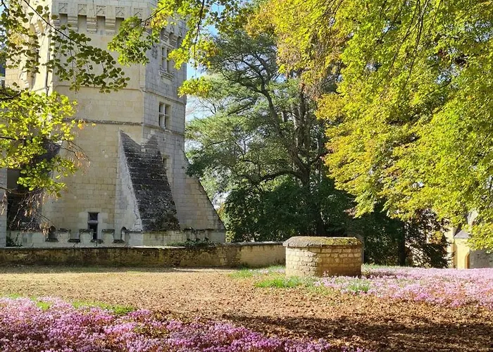 Demeure Chateau De 4* Ternay (Vienne)