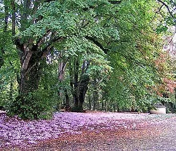 Demeure Chateau De Bed & Breakfast