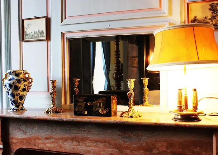 Demeure Chateau De Bed & Breakfast Ternay (Vienne)